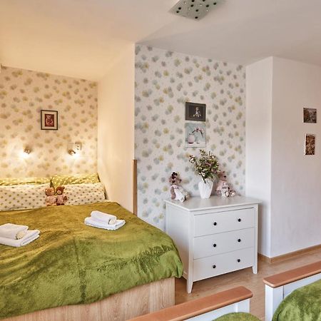 Apartment U Medvidka カルロヴィ・ヴァリ エクステリア 写真