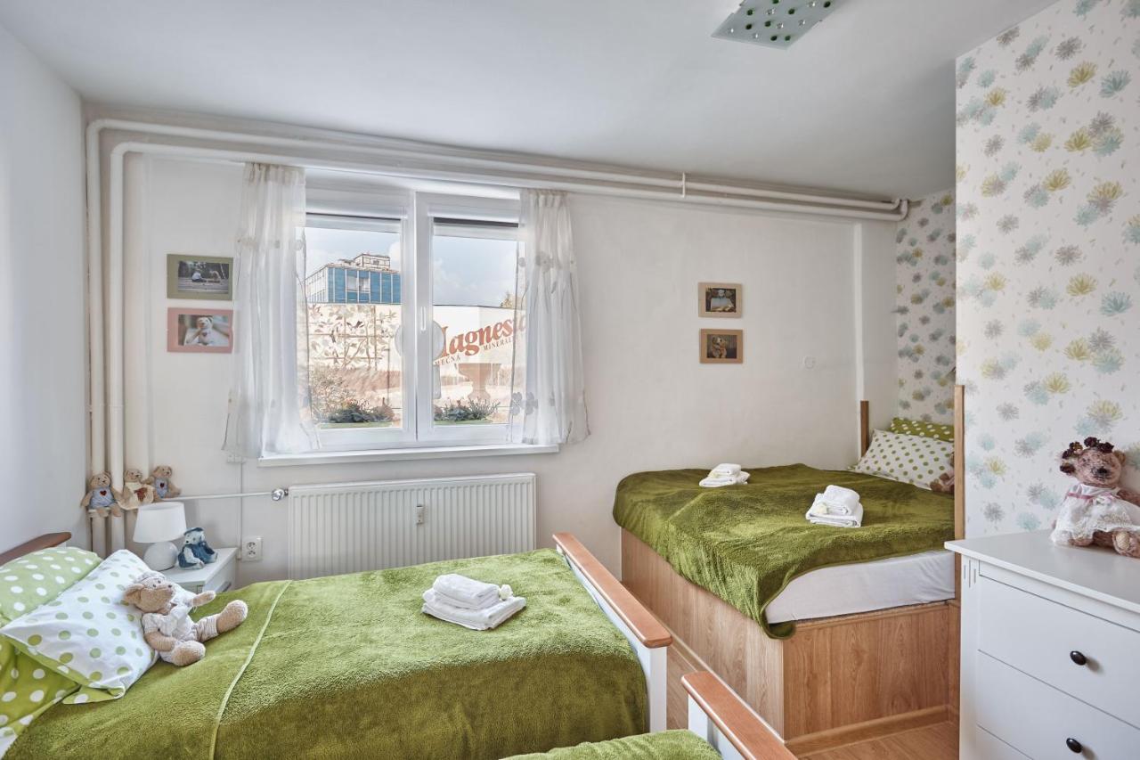 Apartment U Medvidka カルロヴィ・ヴァリ エクステリア 写真